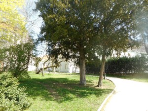 dscn6988.jpg
