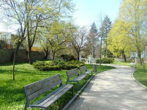 dscn6991.jpg