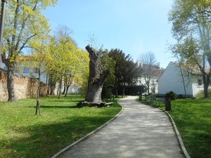 dscn6992.jpg