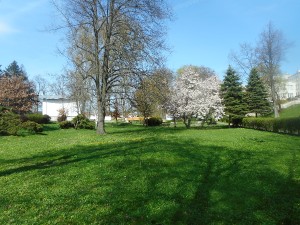 dscn6995.jpg