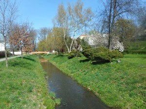 dscn6996.jpg
