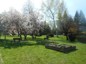 dscn6999.jpg
