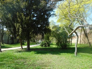 dscn7002.jpg