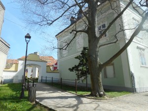 dscn7003.jpg