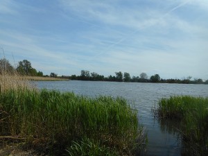 dscn7013.jpg
