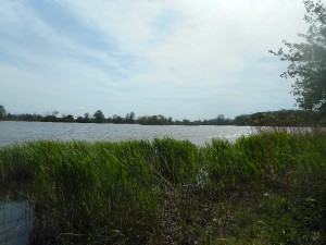dscn7014.jpg