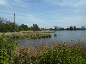 dscn7015.jpg