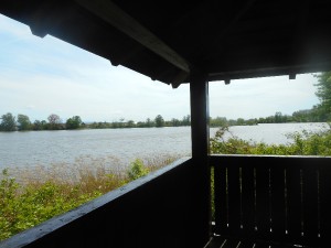 dscn7017.jpg