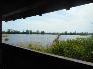 dscn7018.jpg