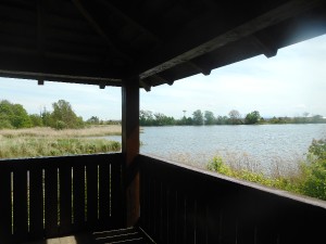 dscn7019.jpg