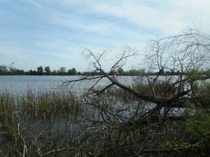 dscn7022.jpg