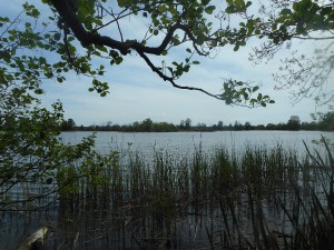 dscn7026.jpg