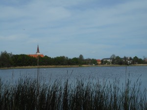 dscn7035.jpg