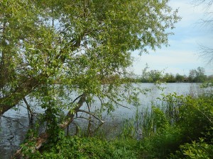 dscn7038.jpg